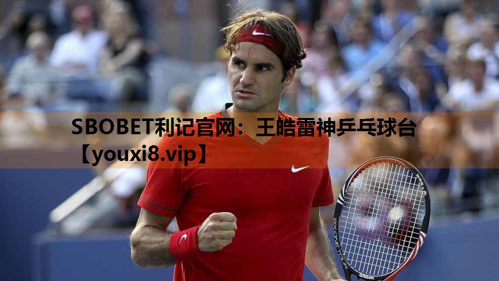SBOBET利记官网：王皓雷神乒乓球台