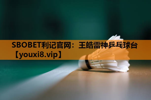 王皓雷神乒乓球台 王皓雷神乒乓球台